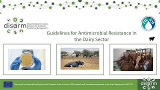 Guidelines for reducing antimicrobial resistance in the dairy sector (Part 2)