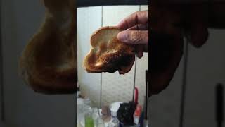 More Burned Toast.