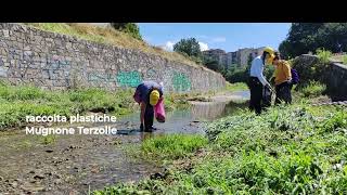 Raccolta plastiche Mugnone Terzolle