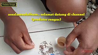 tutorial Cara membuat pancing belut || How to make eel fishing