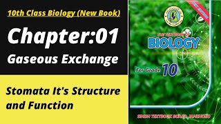 Stomata class 10 | Biology class 10 chapter 1| Class 10 new biology book