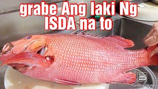 #Red gurapa fish #hotpot steam #soy sauce #Ang laki Ng isda