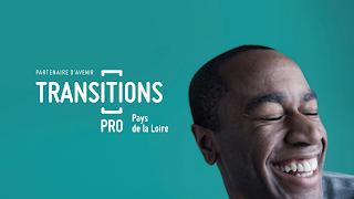 Diffusion en direct de Transitions Pro PDL