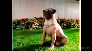 Popsicle Juice Busters - Comercial de TV - Propaganda com Pug