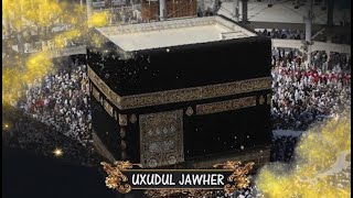 DIRECT: UXUUDUL JAWHER DU 29 FEVRIER 2024