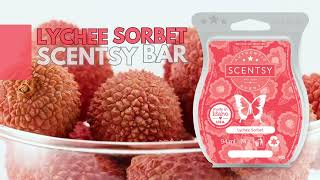 Lychee Sorbet Scentsy Bar Fragrance Reviews