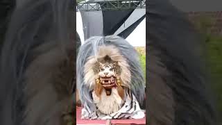 BARONGAN KUCING PUTIH NGAMUK#shot