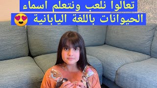 تعلموا مع آية أسماء الحيوانات باللغة اليابانية 😍 شوكولا الحيوانات🐱🦄🐻