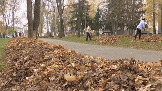 Озеленяли і прибирали. У Змієві пройшов міський суботник