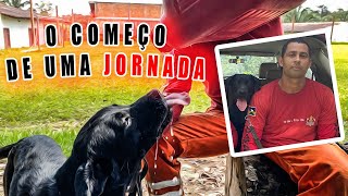 Cães de busca-Terceira semana de treino do DUQUE, veja como ele está!