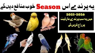 2025-2026 Mein Yeh Birds Apko Bohat Benefits Dein Gay | Pets 4 Everyone | #lovebirds #shorts