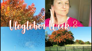 Happy Thanksgiving! 2024 |  Vlogtober Week 2