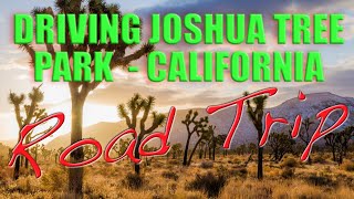 Road Trip Driving The Joshua Tree Park California