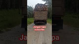 tumpukan duit berjalan #shortviral #viral #trending #buahsawit