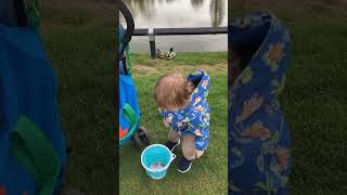 Brody’s Adventure duck feeding