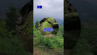 자연재벌농부의 인생정원 라엘의숲 #숲체험 #밤을잊은농부들 #nature