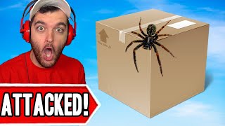 ATTACKED BY SPIDER WHEN OPENING POKEMON CARDS!