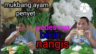 tkwmalaysia mukbang ayam pangang