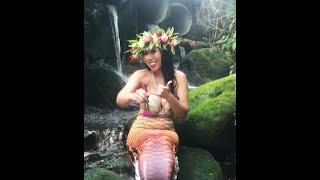 Hawaii Mermaid Edition-Pass The Bush!