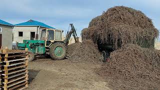 Licorice root Press(Bales) www.licoful.com