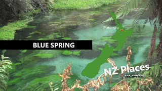 Blue Spring - Putaruru, New Zealand