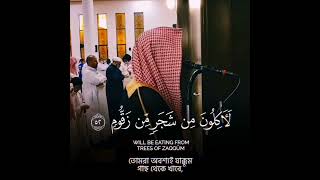 বাম দিকের লোকদের বর্ণনা 😭🥺 #shorts 2 #emotional_recitation #luhaidan#surahwaqiah #crying #recitation