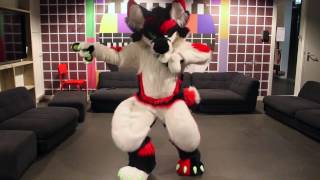 Kerfluffled 5 - Fursuit Division - Round 1 - Velox vs. Umi