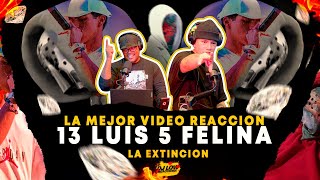 LA MEJOR VIDEO REACCION A LUIS 5 ❌ DJ LOW REACCIONA , A FELINA | LA EXTINCION