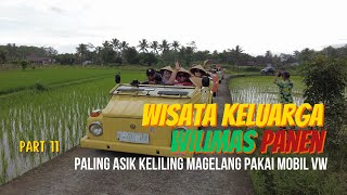 Asyiknya Keliling Desa Wisata di Magelang Naik VW Safari