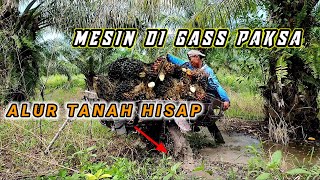 Ngerii!! Motor Muatan Sawit Nancap Ditanah Gambut || Joki Memaksa mesin