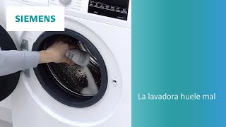 ¿La lavadora huele mal? Aquí van unas cuantas soluciones | SIEMENS