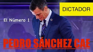 🛑ÚLTIMA HORA 🛑CAE PEDRO SÁNCHEZ ‼️EL NÚMERO 1 ‼️‼️🧨💣⛓️