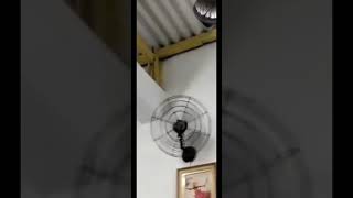 ventilador de parede ventisilva VPL