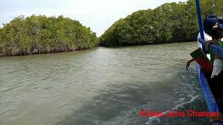 Naik Perahu Pulang Dari Wisata Hutan Mangrove Pandansari Brebes