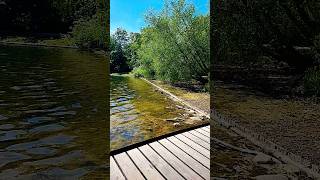 beautiful lake with amazing Birds 😍