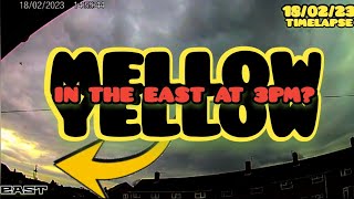 They Call Him Mellow Yellow...