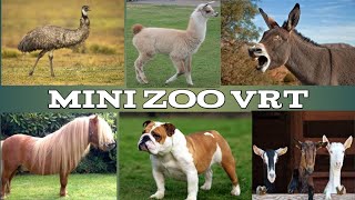 Mini zoo vrt u manastiru Tumane