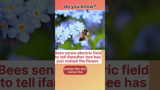 fact 66, bees sense electricfield