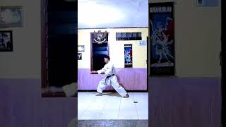 style nunchaku kata #shortvideo @madedharmawan3789