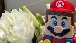 Interactive Lego Mario Live Stream Let’s Go!