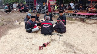 video Ritual pembukaan jaranan Putro Joyo Manggolo di gg PU Dempo Raya segala Mider Bandar lampung.