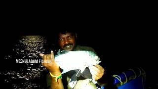 ஆழ்கடலில் இரவில் சுறை மீன் வேட்டை //NET FISHING IN THE SEA