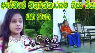 Sangeethe - අසේනිගේ හිතුවක්කාරකම නිසා සීයා යන තැන