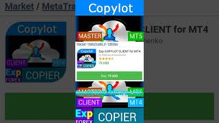 Exp COPYLOT CLIENT for MT4 🇲QL5 COST : 75 USD FREE DOWNLOAD 🔥📉📈🔥