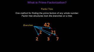 Prime Factorization - Konst Math