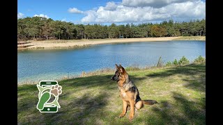 Losloopgebied zandenbos zandenplas Nunspeet