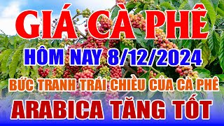 Giá cà phê hôm nay 8/12: bức tranh trái chiều của cà phê, Arabica tăng tốt