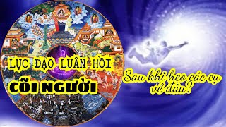 [LỤC ĐẠO LUÂN HỒI] CÕI NGƯỜI