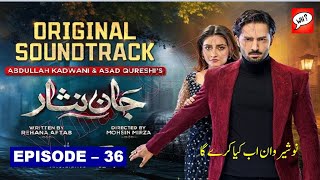 Nosherwan Ab Kia Kre Ga | Jaan Nisar Episode 36 Review | Analysis & Review by What & How