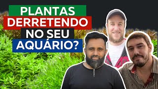 ⭐Dicas para Evitar que Plantas Derretam no Aquário Plantado⭐